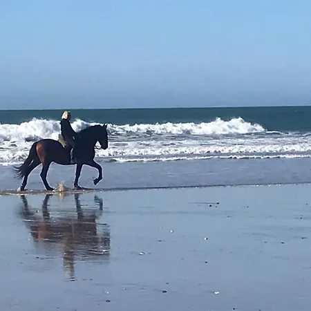 Lägenhet Chorrillo Iii